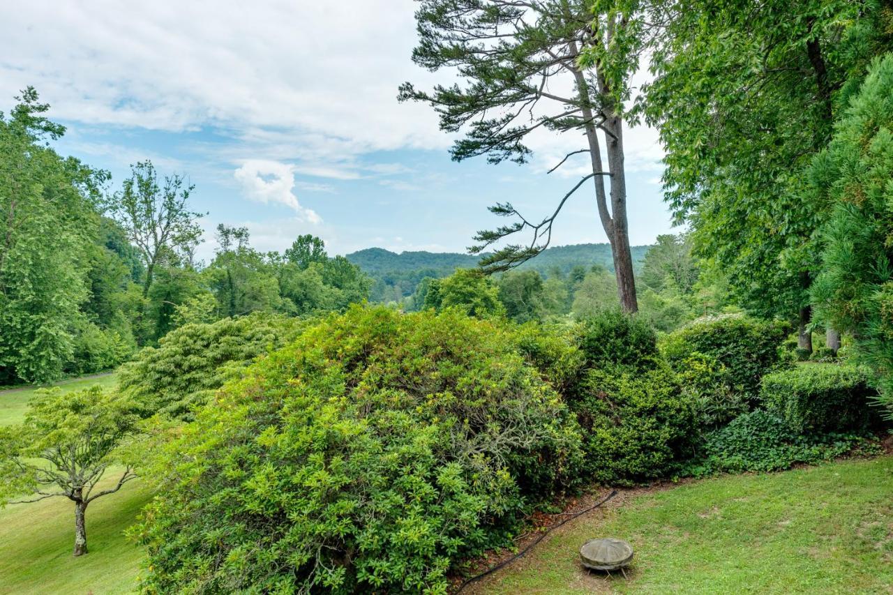 Glen Cannon Pisgah Forest Ngoại thất bức ảnh
